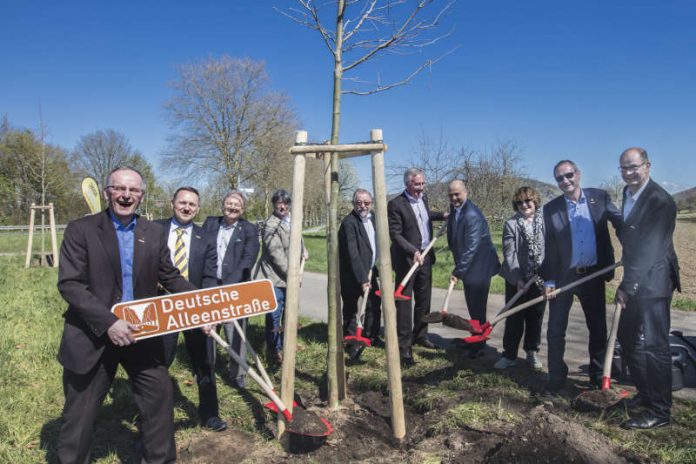 Helmut Dreher (5.v.l.) und Günther Bolich (6.v.l.)vom ADAC Nordbaden, Oberbürgermeister Johannes Arnold (4.v.r.), Stadt Ettlingen, und Elisabeth Führinger, Ortsvorsteherin Ettlingenweier, bei der Baumpflanzaktion mit Vorstand und Geschäftsführung der AG Deutsche Alleenstraße. (Foto: ADAC/Fotofabry)