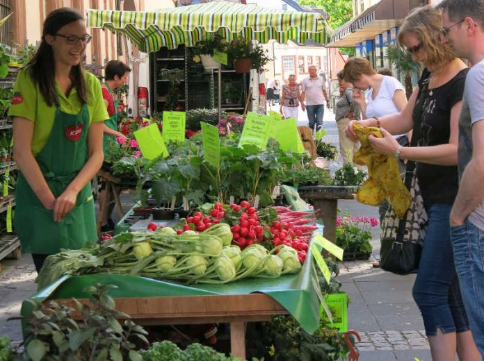 Bauernmarkt Neustadt