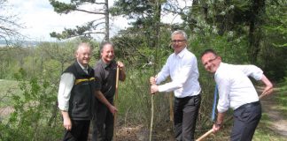 Forstamtsleiter Dr. Bernhard Peichl, Forstrevierleiter Jürgen Bregler, Landrat Dr. Christoph Schnaudigel und Kürnbachs Bürgermeister Armin Ebhart packen tatkräftig zu, um den Baum des Jahres, die Ess-Kastanie, zu pflanzen. (Foto: Landratsamt Karlsruhe)