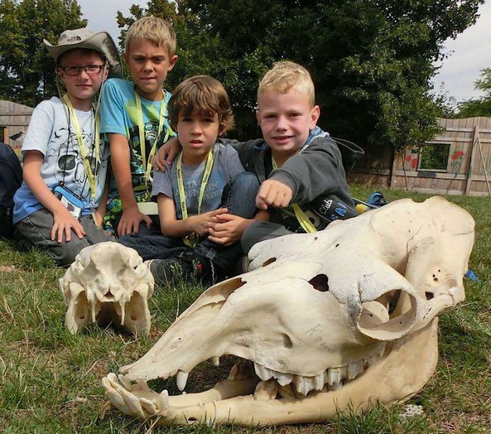 Kinder im Zoo Heidelberg (Foto: Fotonachweis: Zooschule Heidelberg)