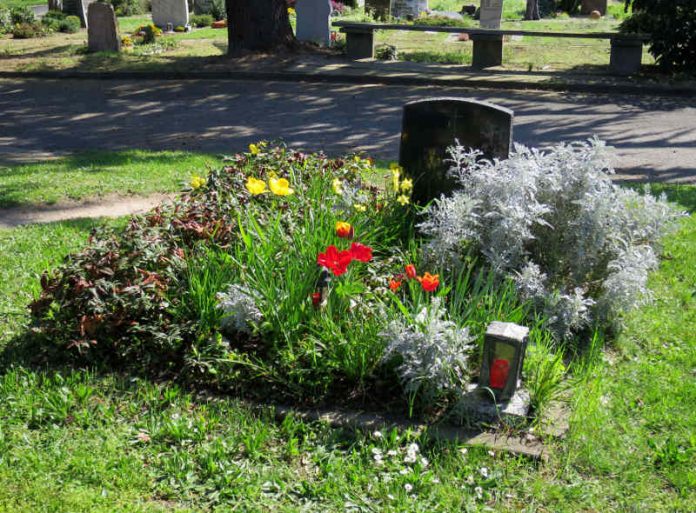 Das Grab von Mirostawa Cybulska auf dem Hauptfriedhof (Foto: Stadtverwaltung Neustadt)