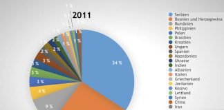 Grafik B: Anträge auf Anerkennung von Abschlüssen im Pflegebereich nach Herkunftsländern (2017) (Quelle: RP Darmstadt)