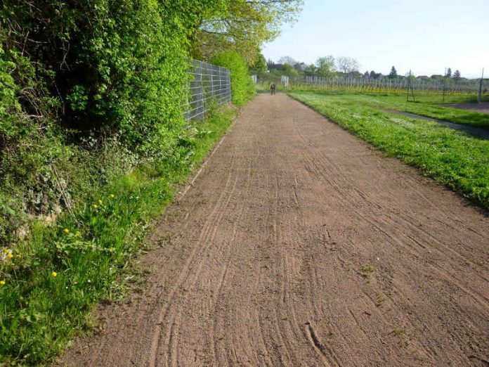 Auf der Anlage kann sich nun prima auf die Bundesjugendspiele vorbereitet werden. (Foto: Stadtverwaltung Neustadt)