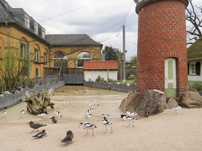 Küstenpanorama im Zoo Heidelberg (Foto: Zoo Heidelberg)