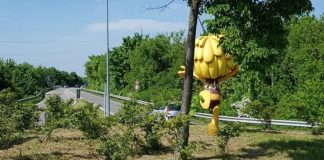 Die Polizei sucht Zeugen und den/die Täter (Foto: Polizei RLP)