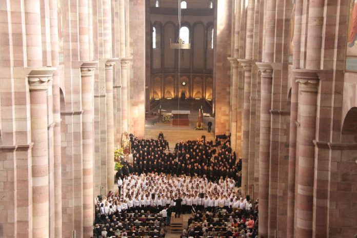 Baden schaut über den Rhein 2016 (Foto: Domkapitel Speyer) Baden schaut über den Rhein 2016 (Foto: Domkapitel Speyer)