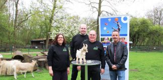 Freuen sich auf die Zusammenarbeit, von links: Marion Merzbacher, Bernd Kühn, Hans-Georg Schwarz (Vorstand Tiergehege Frankenthal e.V.), Harald Stark Geschäftsführer Bernd-Jung-Stiftung (Foto: Bernd-Jung-Stiftung)