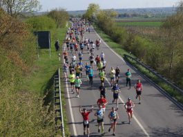 Marathon Deutsche Weinstraße (Foto 2018: Kreisverwaltung Bad Dürkheim)