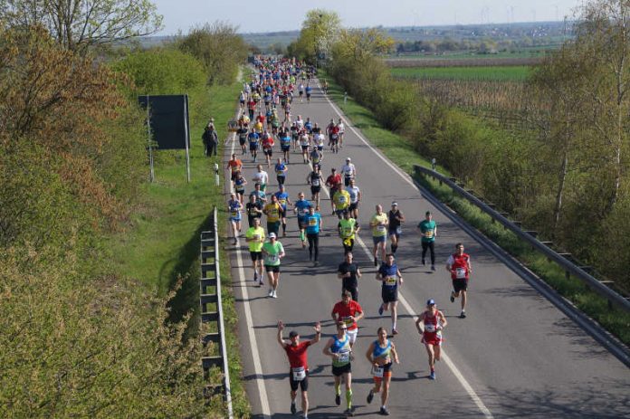 Marathon Deutsche Weinstraße (Foto 2018: Kreisverwaltung Bad Dürkheim)