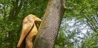 Der Monsterspecht (Foto: Umweltamt Stadt Frankfurt / Stefan Cop)