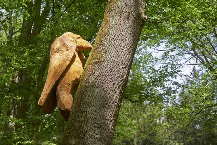 Der Monsterspecht (Foto: Umweltamt Stadt Frankfurt / Stefan Cop)