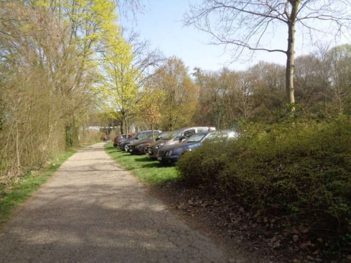 Wildes Parken auf Grünflächen ist verboten (Foto: Stadt Speyer) Wildes Parken auf Grünflächen ist verboten (Foto: Stadt Speyer)