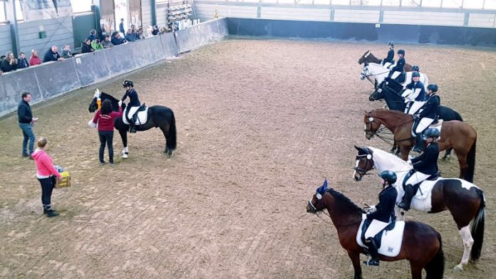 Siegerehrung E-Dressur Reitertag (Foto: Reit- und Fahrverein Essenheim)