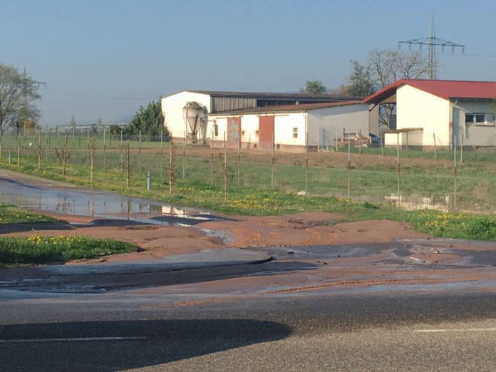 Der Wasserrohrbruch war in der Nähe von „Apfel Becker“. (Foto: Stadtverwaltung Neustadt) Der Wasserrohrbruch war in der Nähe von „Apfel Becker“. (Foto: Stadtverwaltung Neustadt)