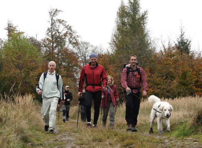 Wandern ist in: Wander-Akademie vermittelt wertvolles Wissen (Foto: Rainer Dietrich)