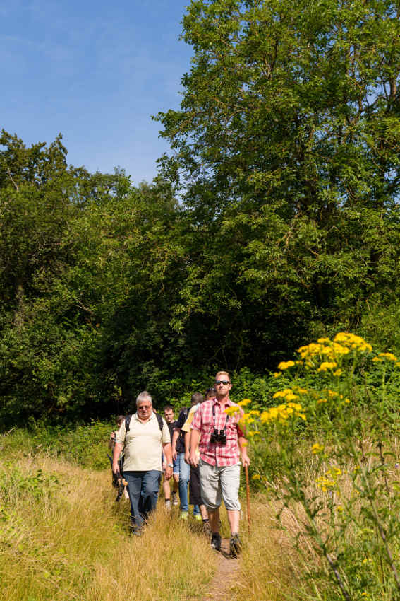 Wandern (Foto: Stadt Eberbach Kultur-Tourismus-Stadtinformation/Andreas Held)