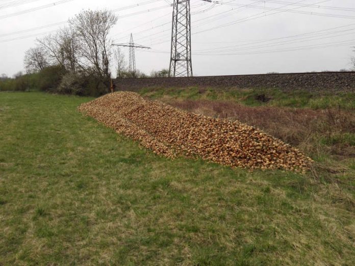 Illegale Ablagerung von mind. 25 Kubikmeter Zwiebelabfällen im Außenbereich von Herrnsheim an den Bahngleisen, südlich der Firma TST Worms am Langgewann. (Foto: Stadtverwaltung Worms)