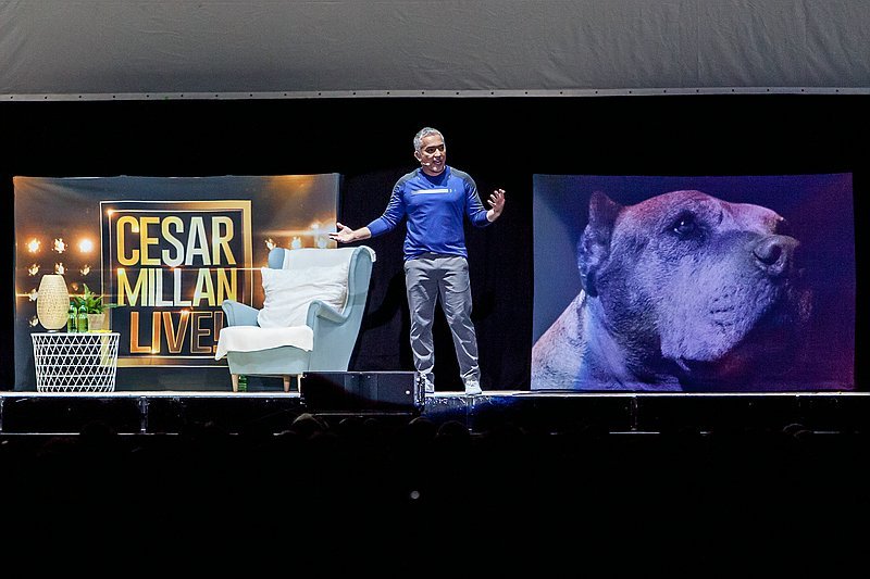 Cesar Millan (live in der Festhalle Frankfurt, 17.4.2018) (Foto: Torsten Reitz)