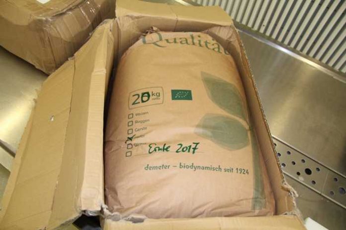 Paket mit zunächst unklarem Inhalt Paket mit zunächst unklarem Inhalt