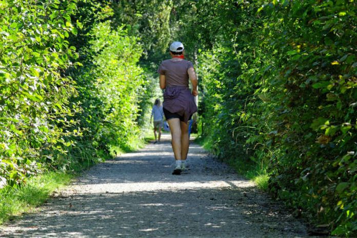 Run Up (Foto: Ludwigshafener Lauf-Club e.V.) Run Up (Foto: Ludwigshafener Lauf-Club e.V.)