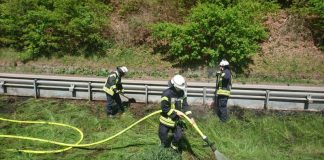 Löscharbeiten (Foto: Presseteam der Feuerwehr VG Lambrecht)