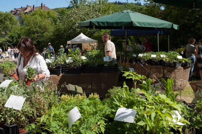 Großes Angebot für alle Gartenliebhaber (Foto: Stadt Bingen / Martin Kämper)