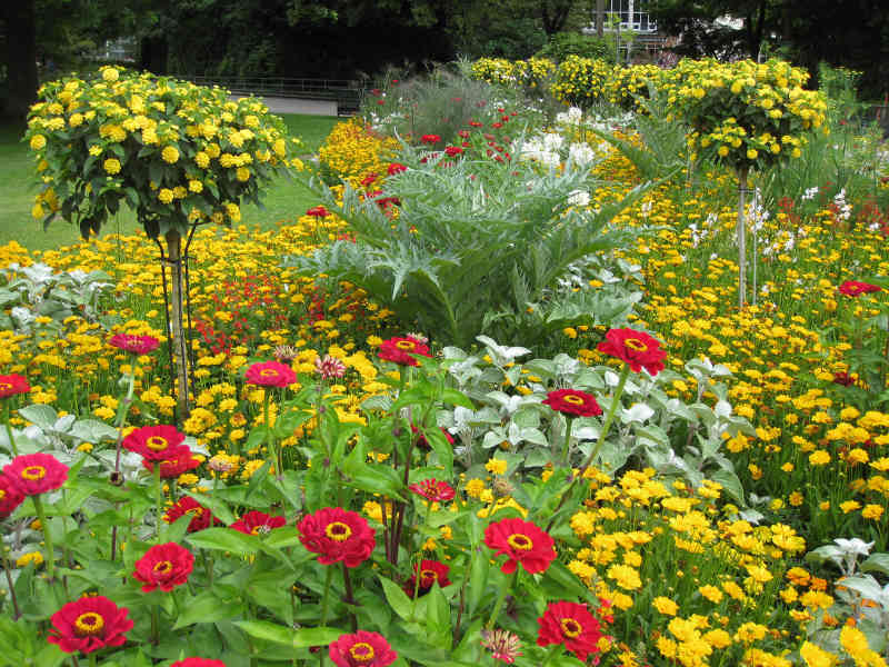 Sommerblumen für städtische Grünflächen pflanzt das Gartenbauamt ab sofort. (Foto: Stadt Karlsruhe)