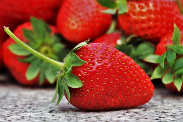 Erdbeere Symbolbild Symbolbild (Foto: Pixabay)