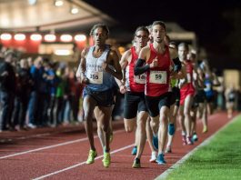 Lange Laufnacht (Foto: larasch/Markus Herkert)