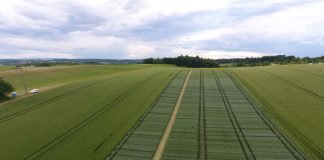 Luftaufnahme des Versuchsfeldes mit den einzelnen Versuchsparzellen (Foto: Landratsamt Karlsruhe)