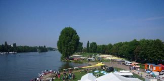 Die Heidelberger Ruderregatta findet mitten in der Stadt auf dem Neckar statt (Foto: Hannes Blank)