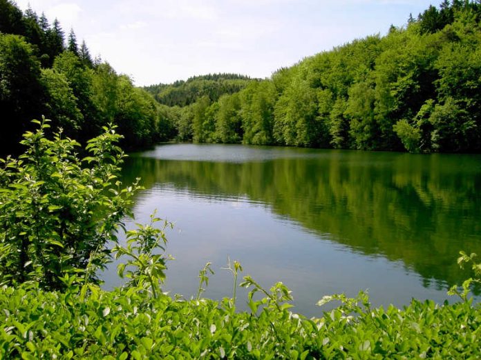 Reinheit der Gewässer: ein Wunschtraum? (Foto: Bezirksverband Pfalz)