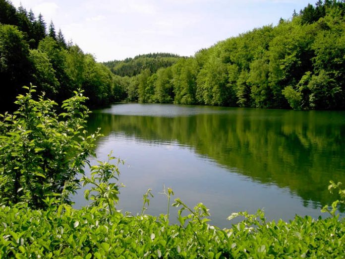 Reinheit der Gewässer: ein Wunschtraum? (Foto: Bezirksverband Pfalz) Reinheit der Gewässer: ein Wunschtraum? (Foto: Bezirksverband Pfalz)