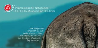 Das Poster zur Ausstellung „Alles Scheiße“ (Quelle: Pfalzmuseum für Naturkunde)