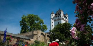 Der Tagesausflug der DRK Seniorenreisen am 6. Juni führt in die schöne Wein-, Sekt- und Rosenstadt Eltville. (Foto: Stadt Eltville)