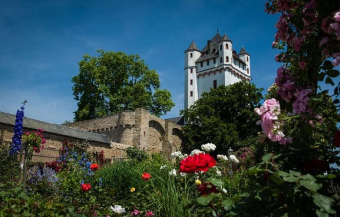 Der Tagesausflug der DRK Seniorenreisen am 6. Juni führt in die schöne Wein-, Sekt- und Rosenstadt Eltville. (Foto: Stadt Eltville)