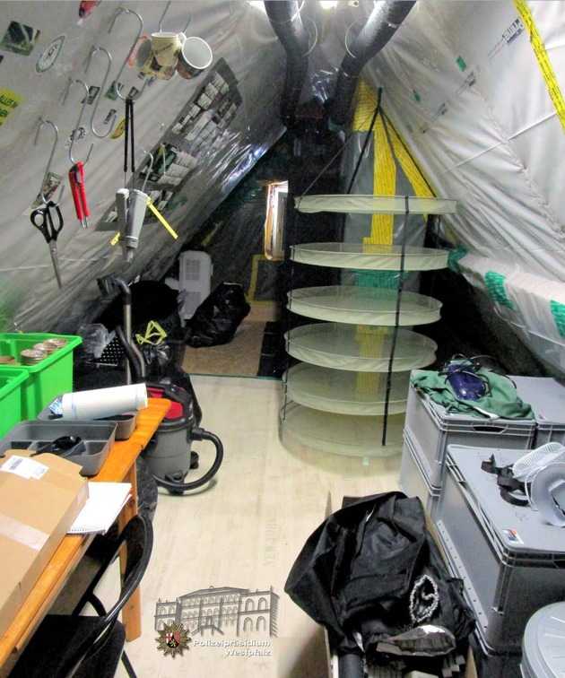 Mehrere sogenannter Grow-Schränke mit insgesamt 72 Marihuana-Pflanzen in verschiedenen Wachstumsphasen wurden sichergestellt Mehrere sogenannter Grow-Schränke mit insgesamt 72 Marihuana-Pflanzen in verschiedenen Wachstumsphasen wurden sichergestellt