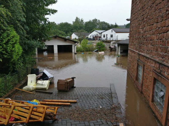 Am Woogdamm (Foto: Feuerwehr Kaiserslautern)