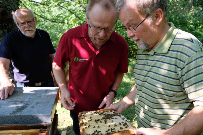 Imker Frank Mikley zeigt Förster Siegfried Weiter seine Bienenvölker. Sie haben viel Edel-Kastanien-Honig gesammelt (Foto: Landeforsten RLP/F. Mikley)