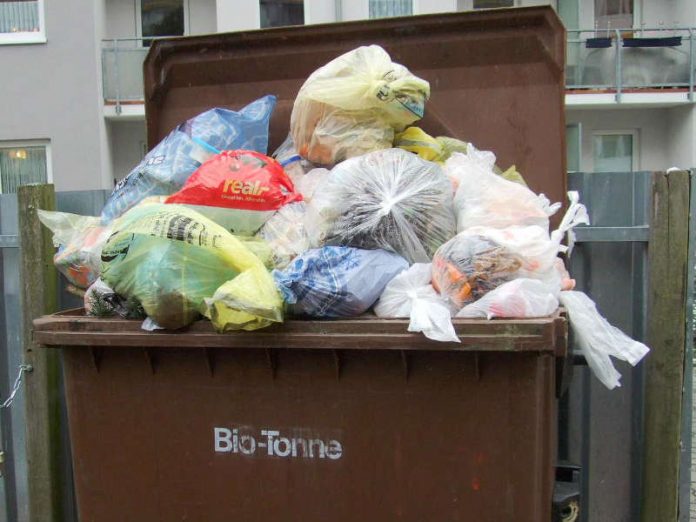 Falsch befüllte Mülltonne (Foto: Kreisverwaltung Germersheim)