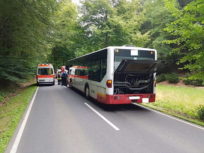 Foto von der Einsatzstelle (Foto: Presseteam der Feuerwehr VG Lambrecht)