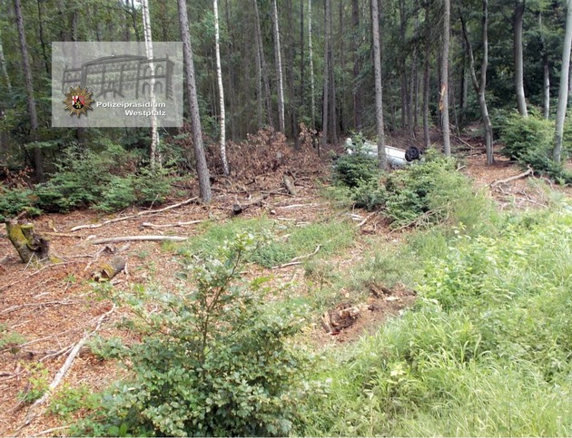 Der Pkw überschlug sich mehrfach und blieb schließlich 30 Meter abseits der Straße im Wald liegen.
