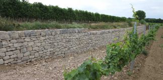 Trockenmauer