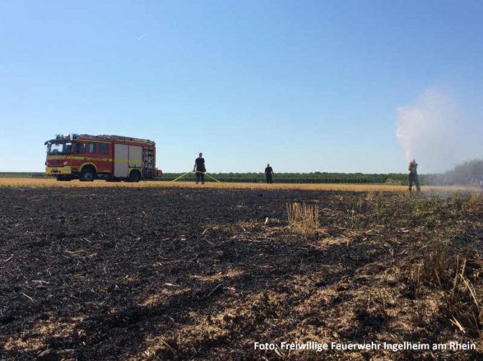 Flächenbrand