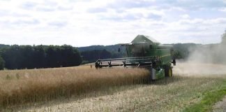 Mähdrescher bei der Rapsernte (Foto: Landratsamt Neckar-Odenwald-Kreis)