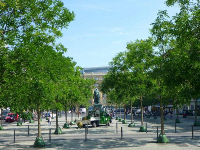 Baumallee auf Rathenauplatz, Goetheplatz, Rossmarkt (Foto: Grünflächenamt Frankfurt)