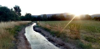 Der neue Bachlauf in den Rehbachwiesen. (Foto: Stadtverwaltung Neustadt)