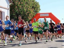 Beliebtes Sport-Event in der Region: Der EnergieSüdwest-Cup lockt jedes Jahr zahlreiche Hobbyläuferinnen und -läufer an. (Foto: EnergieSüdwest AG)
