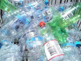 Einwegflaschen (Foto: Stadtverwaltung Worms)