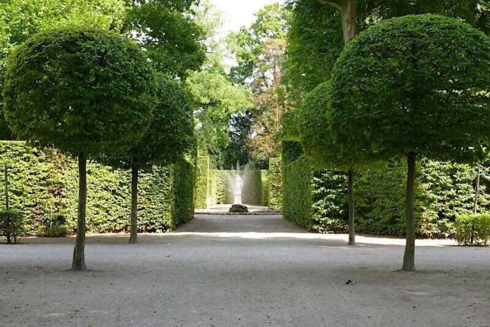 Boskett im Schlossgarten Schwetzingen (Foto: Henrike von Werder-Zyprian/SSG-Pressebild)